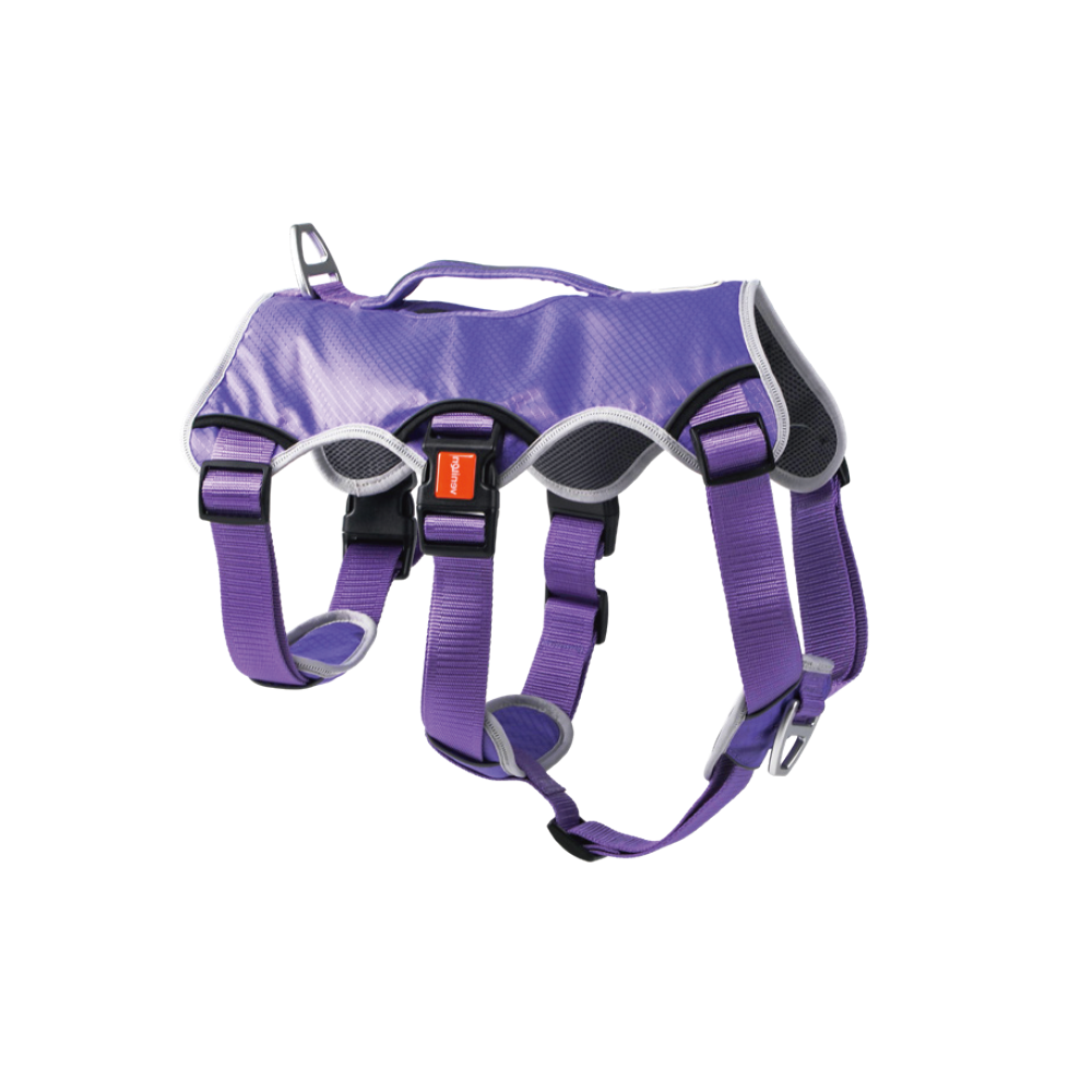 Sport Harness for Dogs